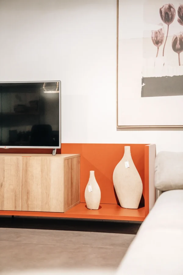 Moble TV Salcedo